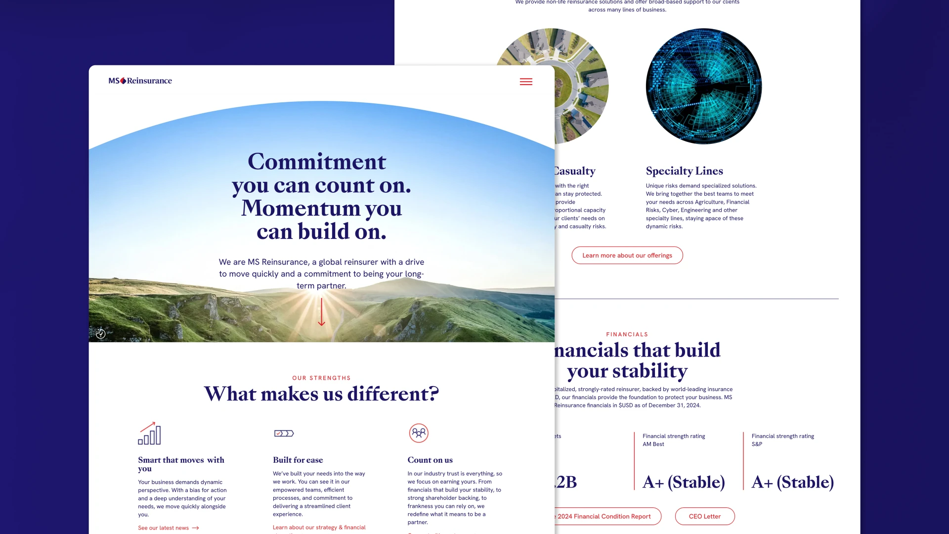 MS Reinsurance